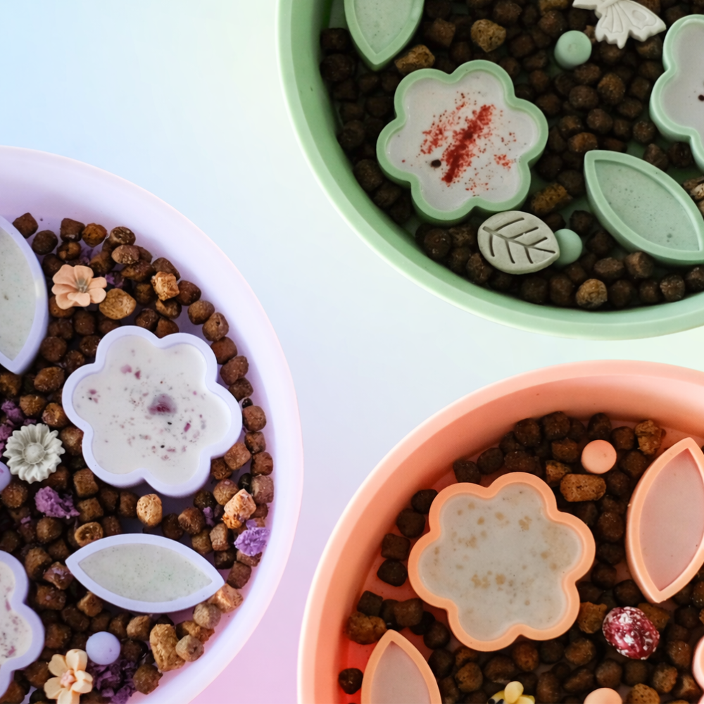 Everyday Bowl Essentials Set