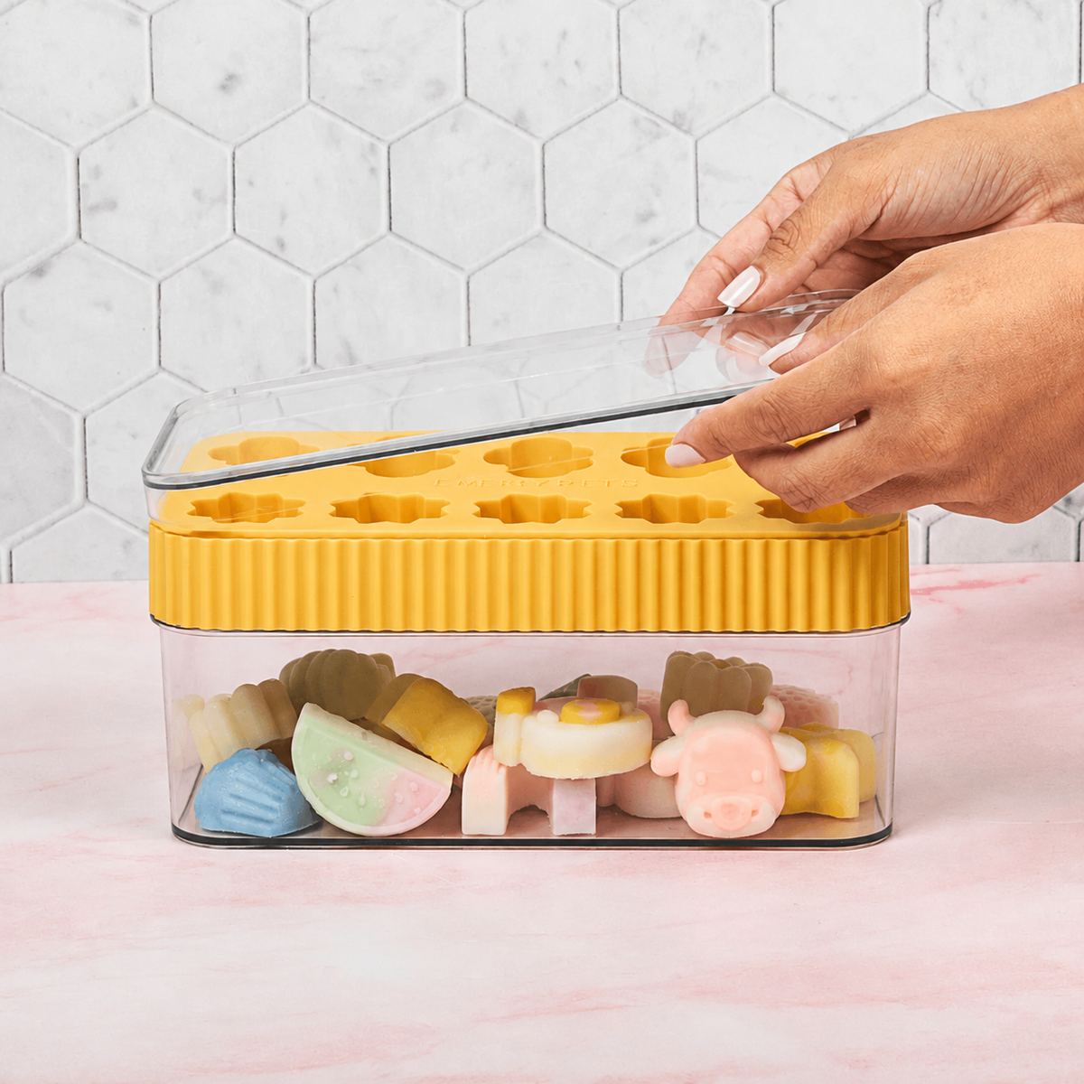 Bear + Honey Treat Mold