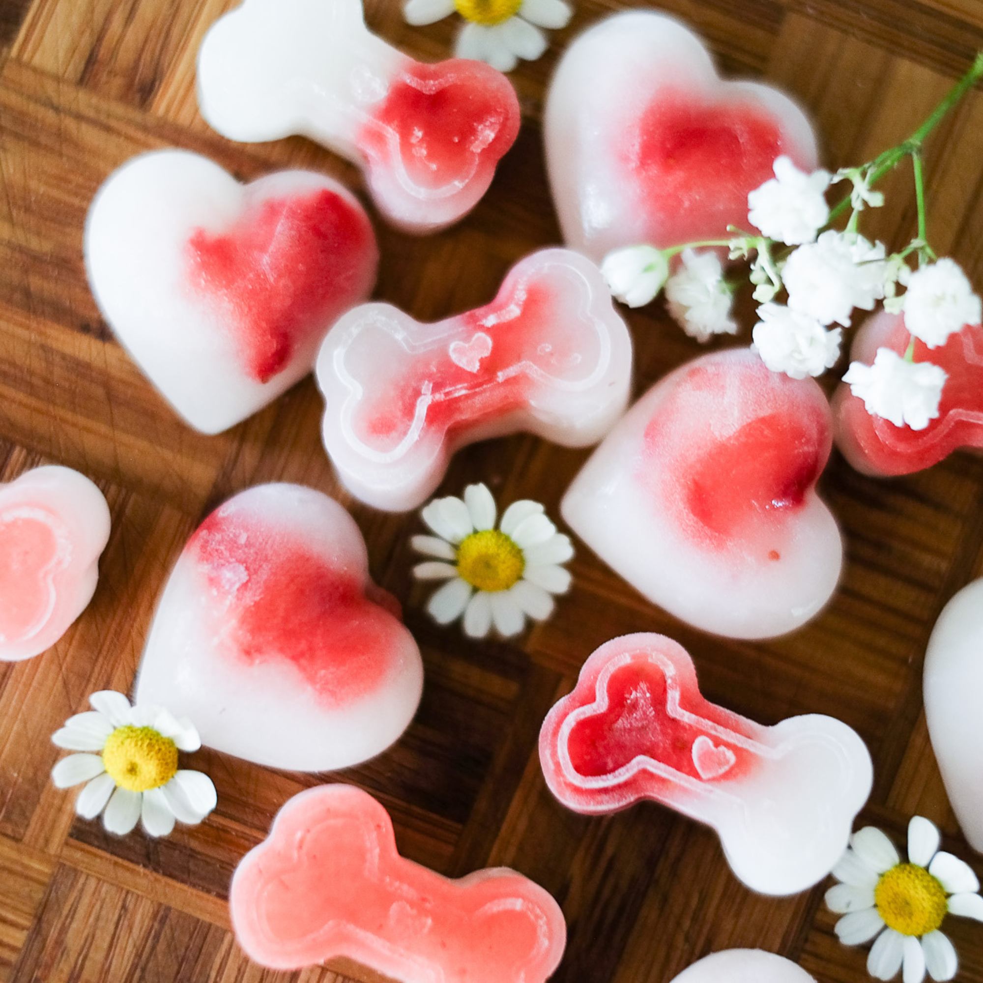Heart + Bone Treat Mold (EmeryPets x Crude Carnivore)