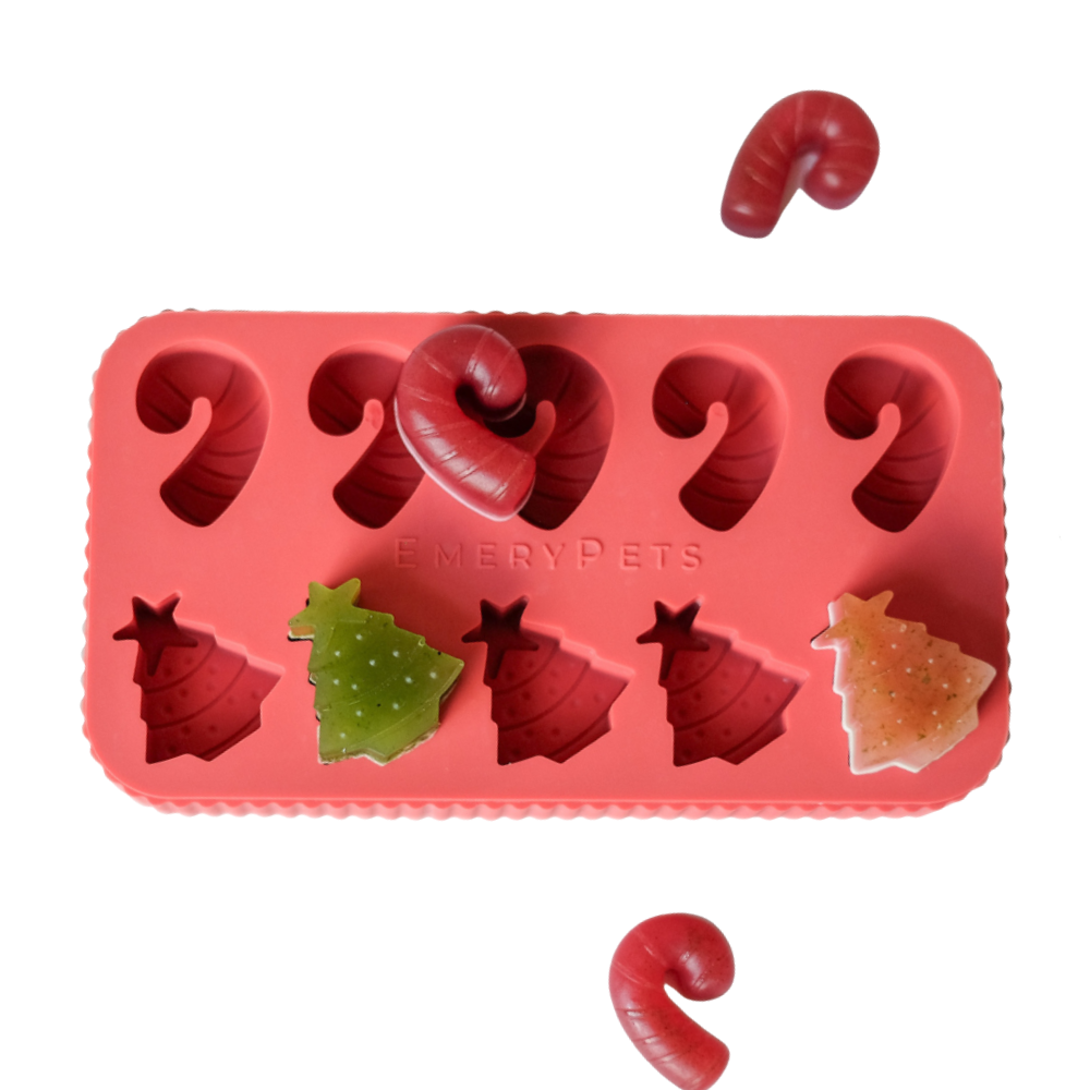 Mix & Match Treat Starter Bundle