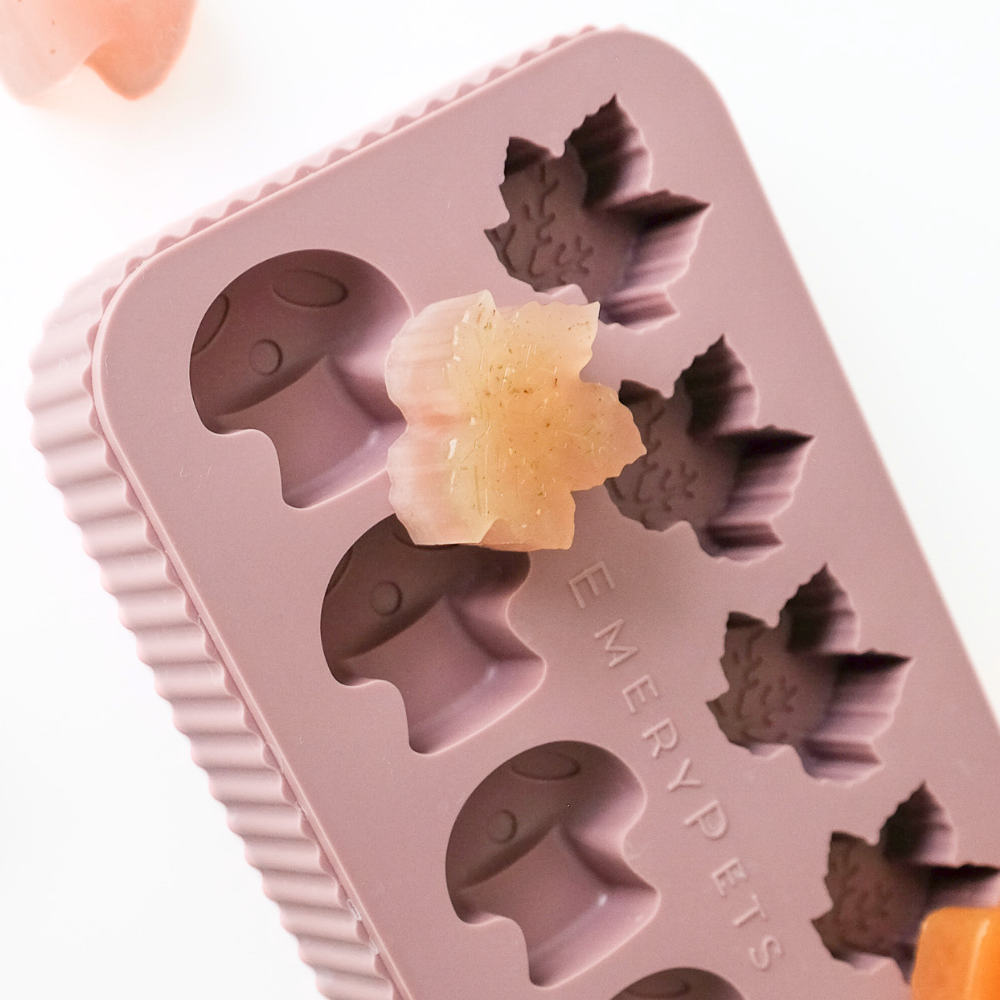 Maple Leaf + Mushroom Treat Mold