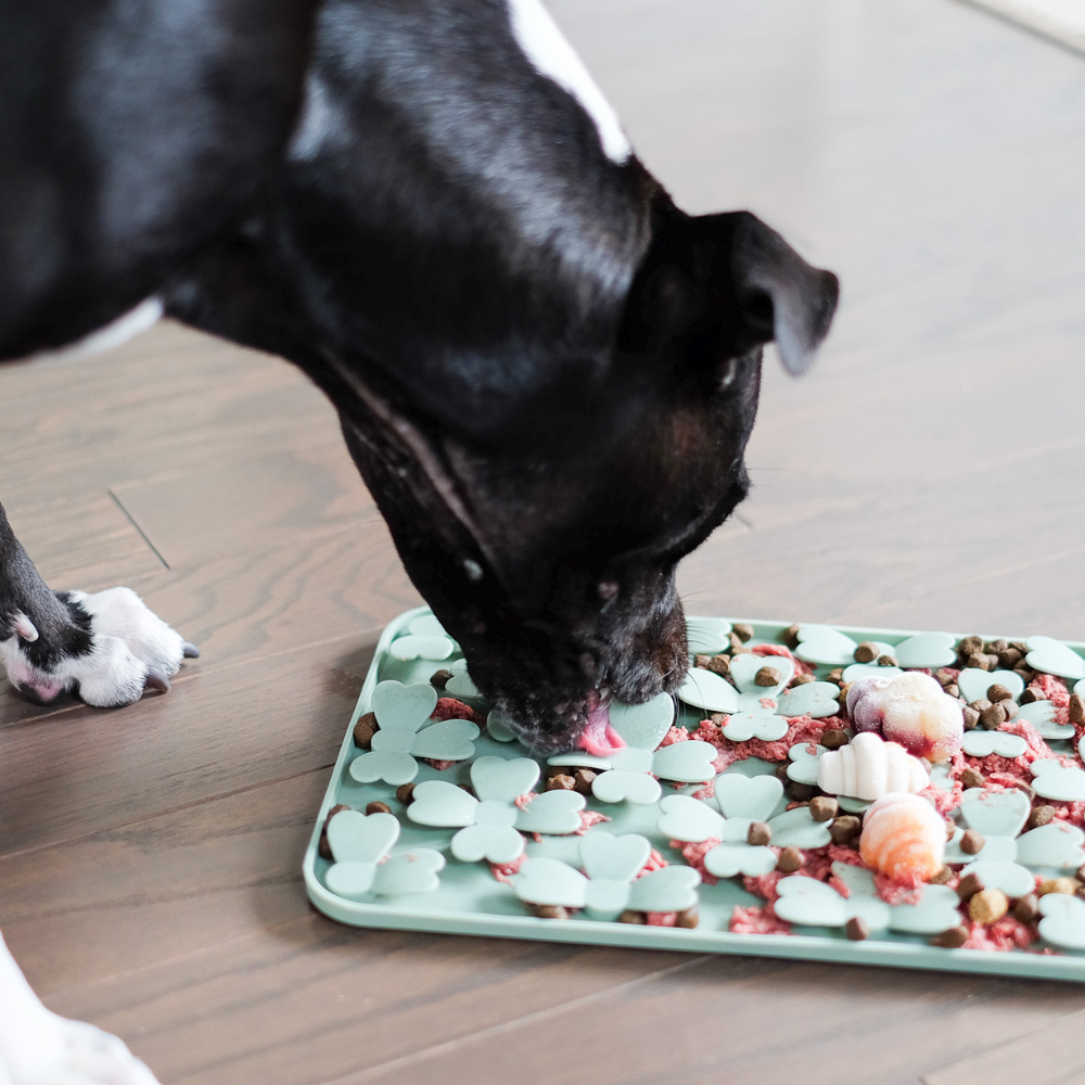 Lucky Clovers Snuffle Lick Mat