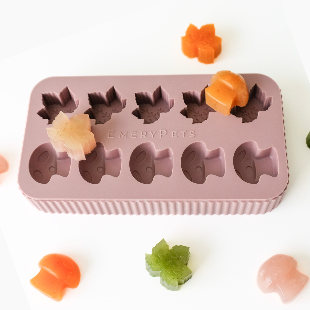 Maple Leaf + Mushroom Treat Mold